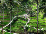 Ubud