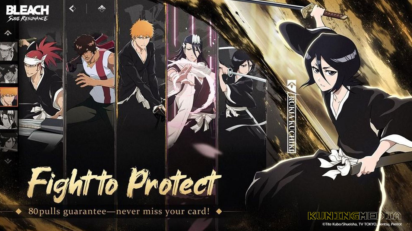 bleach-soul-resonance-hero