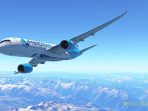 infinite-flight-2025